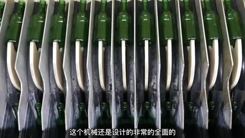 工廠生產(chǎn) 酒瓶 包裝全過程,全自動機械日產(chǎn)100萬瓶,漲知識了